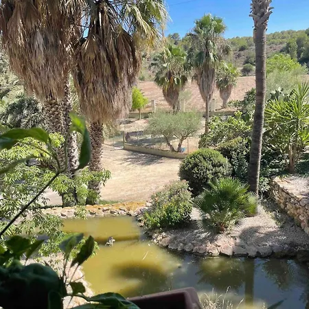 Turquesa Del Mar-orihuela La Zenia Alicante Apartamento